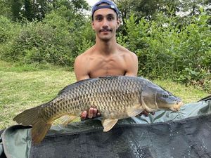 Common Carp
