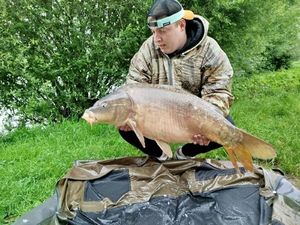 Mirror Carp