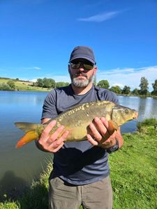 Mirror Carp