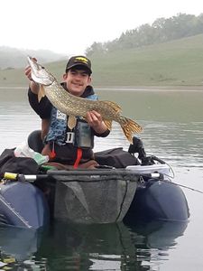 Northern Pike