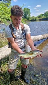 Largemouth Bass