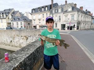Northern Pike