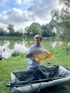 Mirror Carp