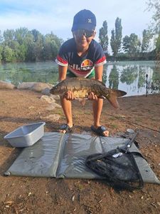 Mirror Carp