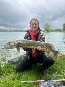 Northern Pike