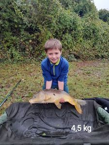 Mirror Carp