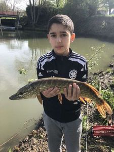 Northern Pike