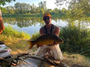 Leather Carp