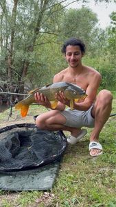Common Carp