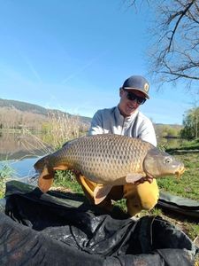 Mirror Carp