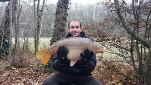 Mirror Carp