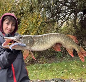 Northern Pike