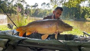 Mirror Carp