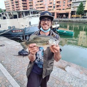 Smallmouth Bass