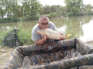 Common Carp