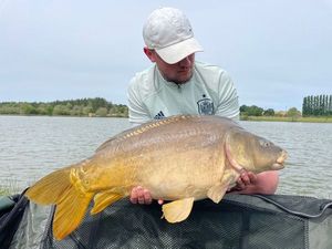 Mirror Carp