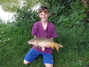 Mirror Carp