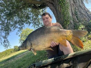 Mirror Carp