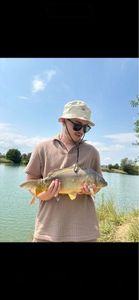 Leather Carp