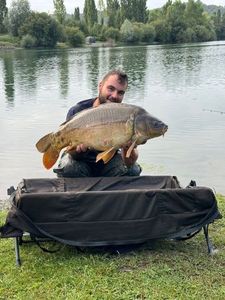 Mirror Carp