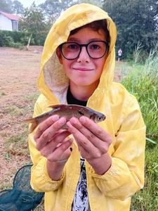 White bream