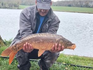 Mirror Carp