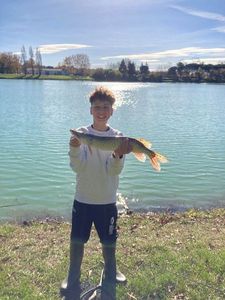Northern Pike