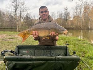 Mirror Carp