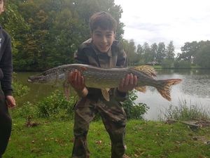 Northern Pike