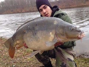Mirror Carp