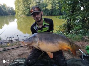 Mirror Carp