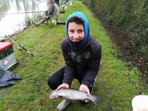 Brown Trout