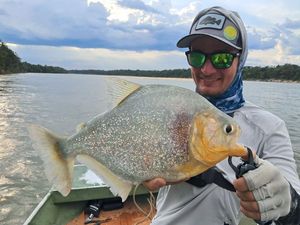 Manuel’s Piranha