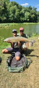 Grass Carp