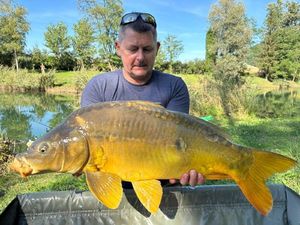 Mirror Carp