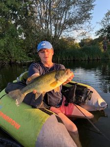 Largemouth Bass
