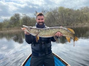 Northern Pike