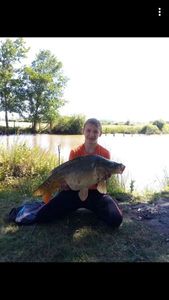 Mirror Carp