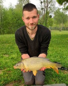 Common Carp
