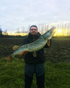 Northern Pike