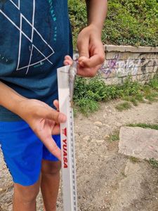 Round Goby