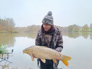 Mirror Carp