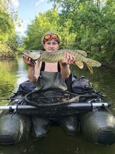 Northern Pike