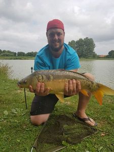 Mirror Carp