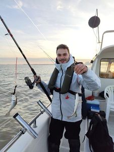 Whiting