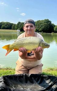Common Carp