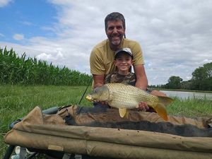 Common Carp