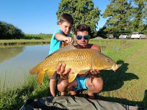 Mirror Carp