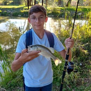 Smallmouth Bass