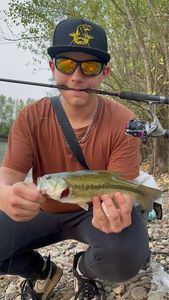 Smallmouth Bass
